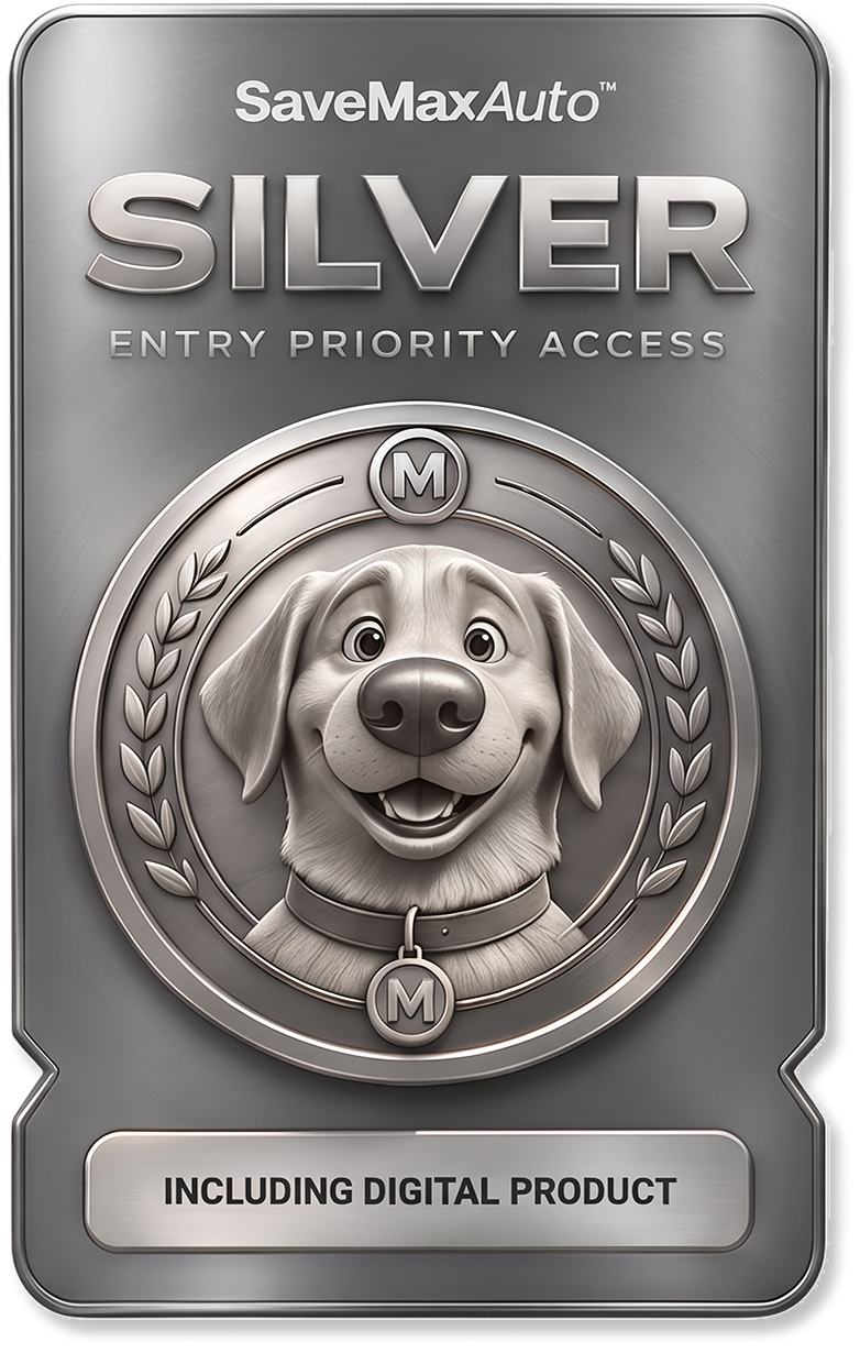 Silver Quick Entries