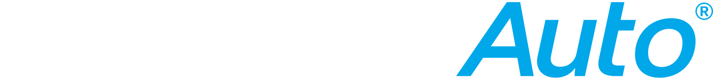 Save Max Auto